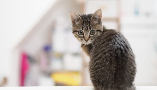 原因は何？産後猫背になった話。
