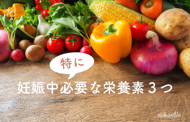 妊娠中特に必要な栄養素３つ